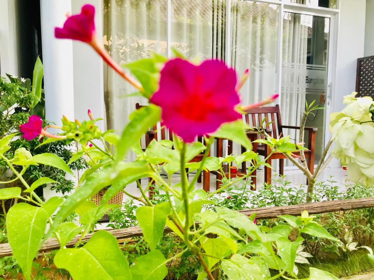 Sunlight Bungalow Phú Quốc Eksteriør billede