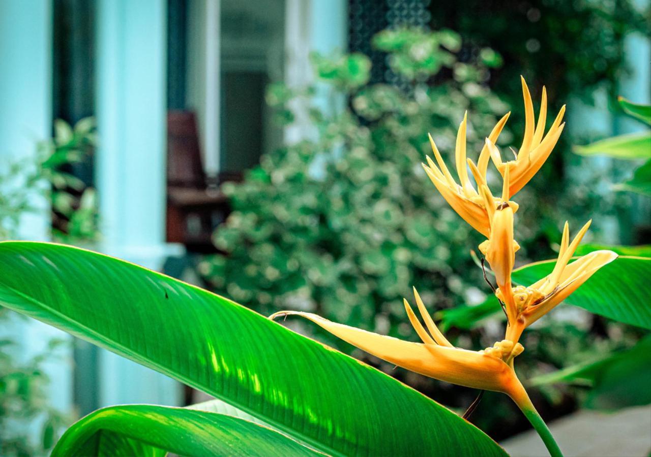 Sunlight Bungalow Phú Quốc Eksteriør billede